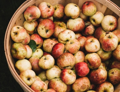 Irish cider sector impacted by Covid